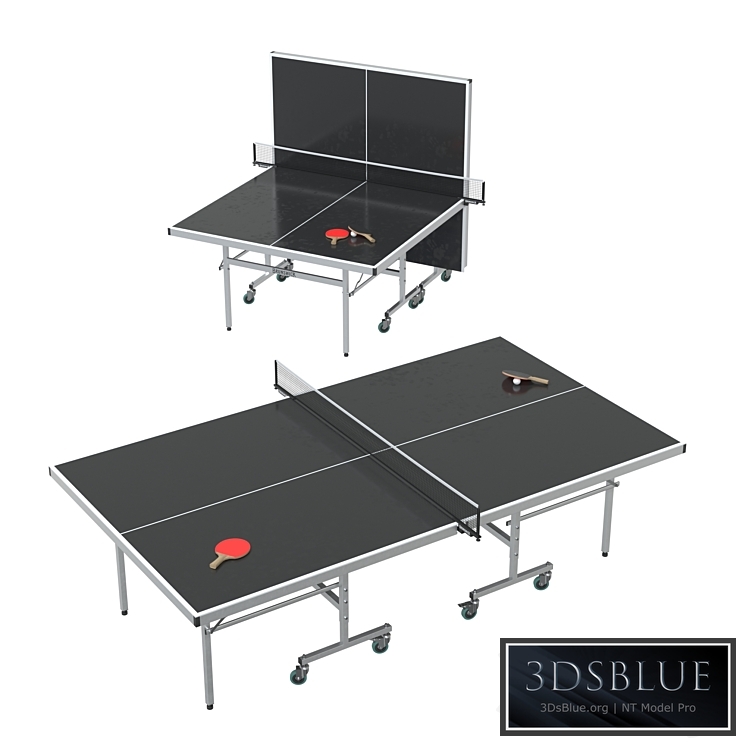 Brunswick Indoor / Outdoor Tournament Table Tennis