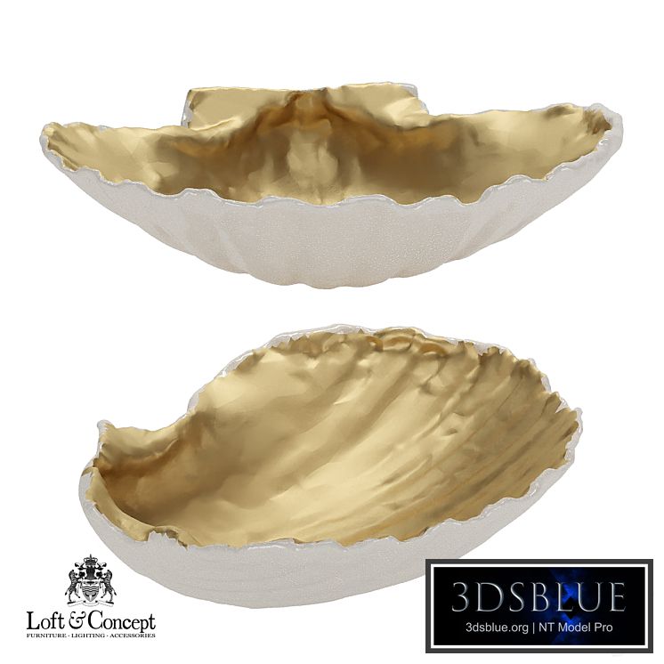 Accessory seashell Gold "Loft concept"