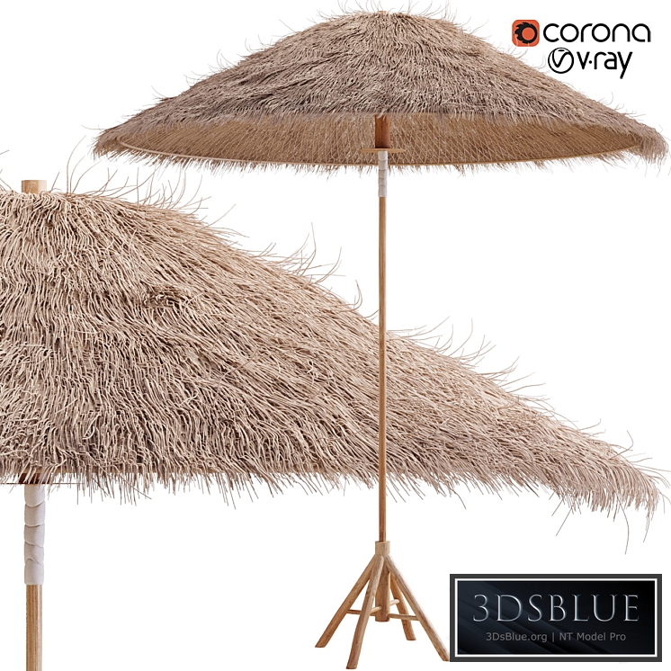 Bamboo Umbrella with Banana Leaf