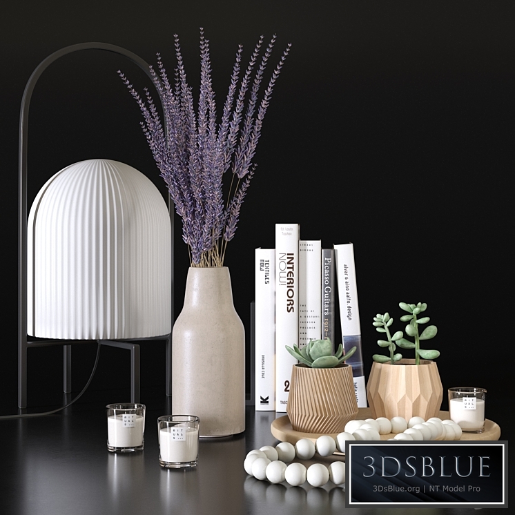 Decorative set with lavander and succulents