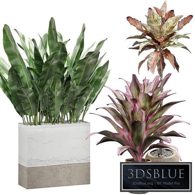 INTERIOR FLOWER PACK 29