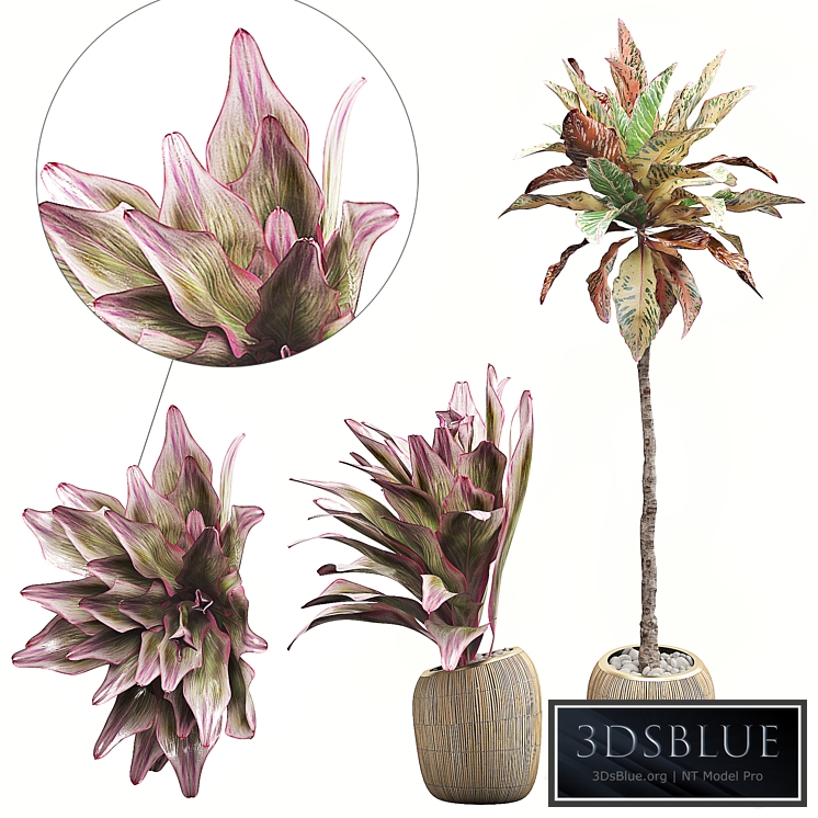 INTERIOR FLOWER PACK 34