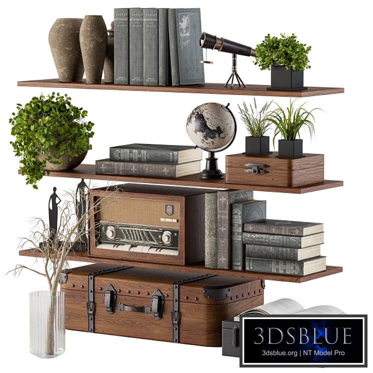 Decorative Set on Shelves 02