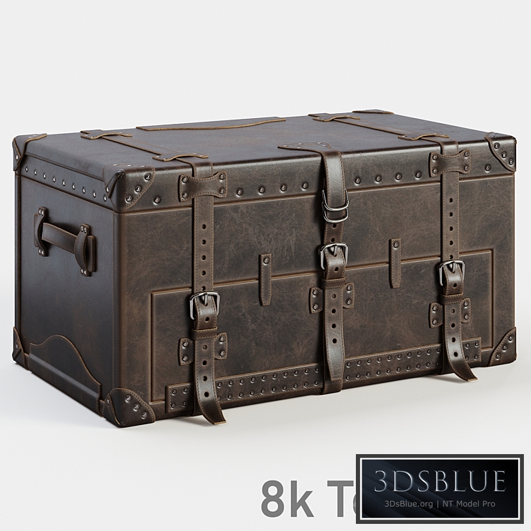 Saddleback leather trunk
