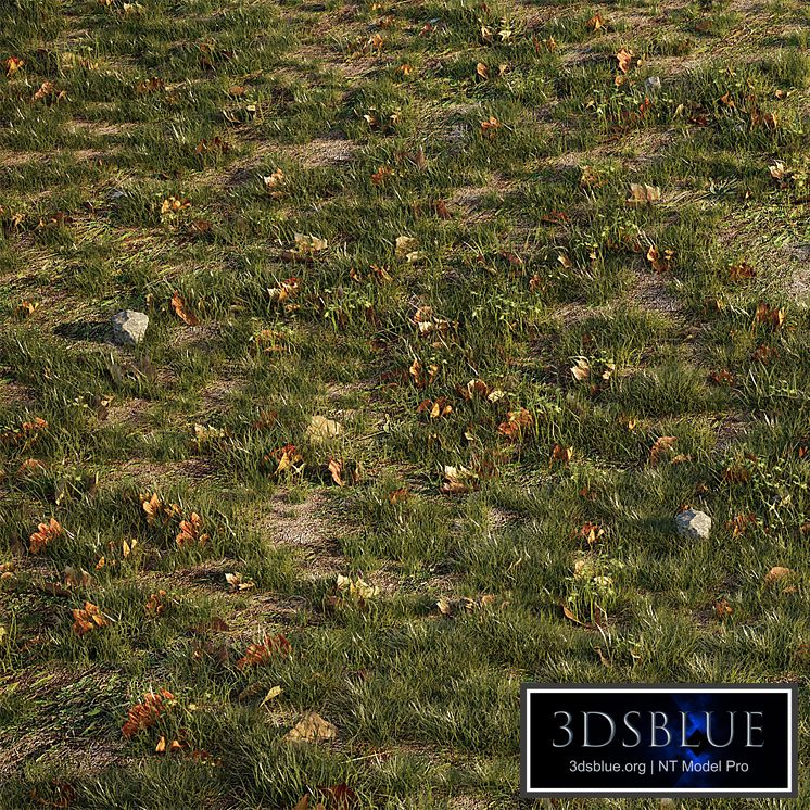 House grass or lawns