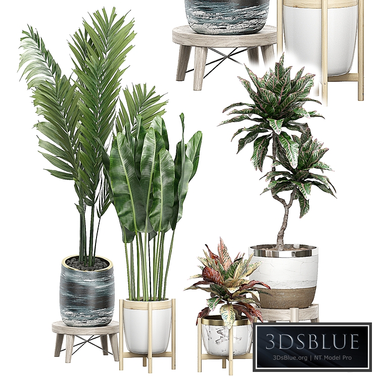 INTERIOR FLOWER PACK 42