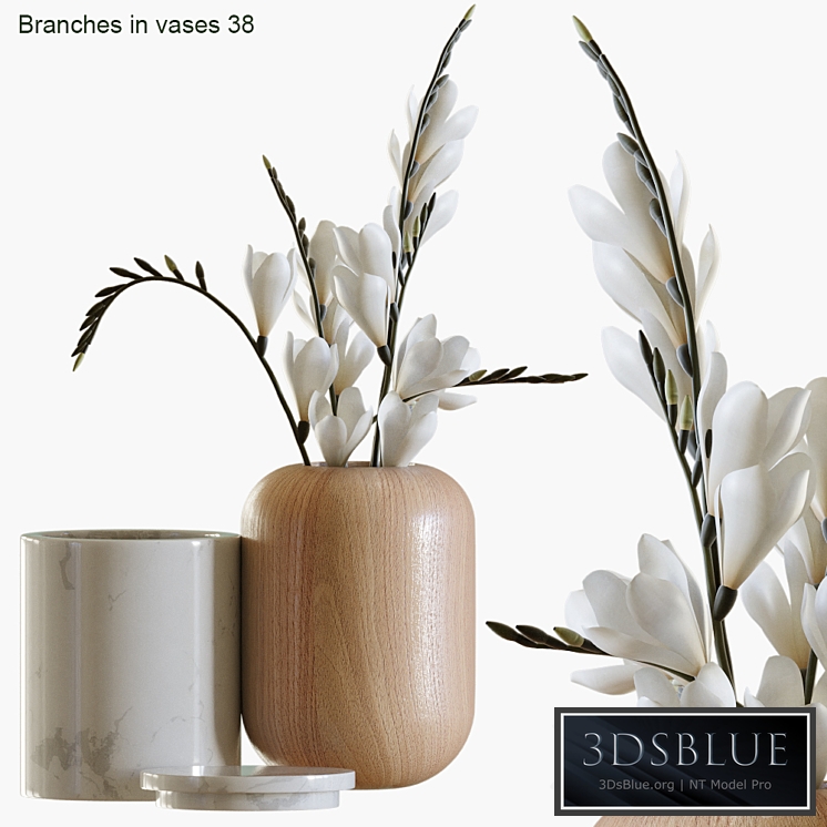 Branches in vases 38