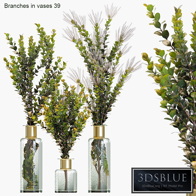 Branches in vases 39