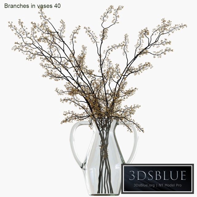 Branches in vases 40
