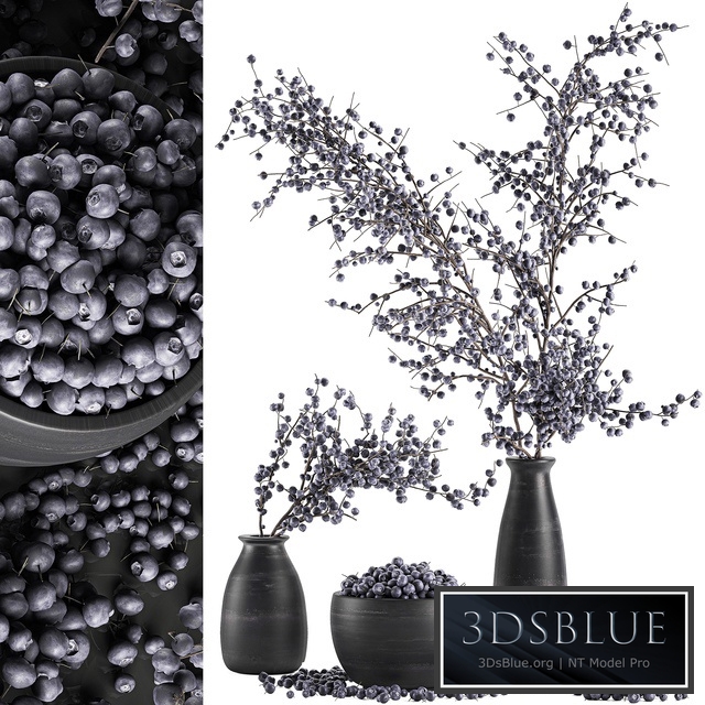 Bouquet of branches with berries 549. Branches, berries, blueberries, blueberries, bowl with berries, natural decor, eco design, vase