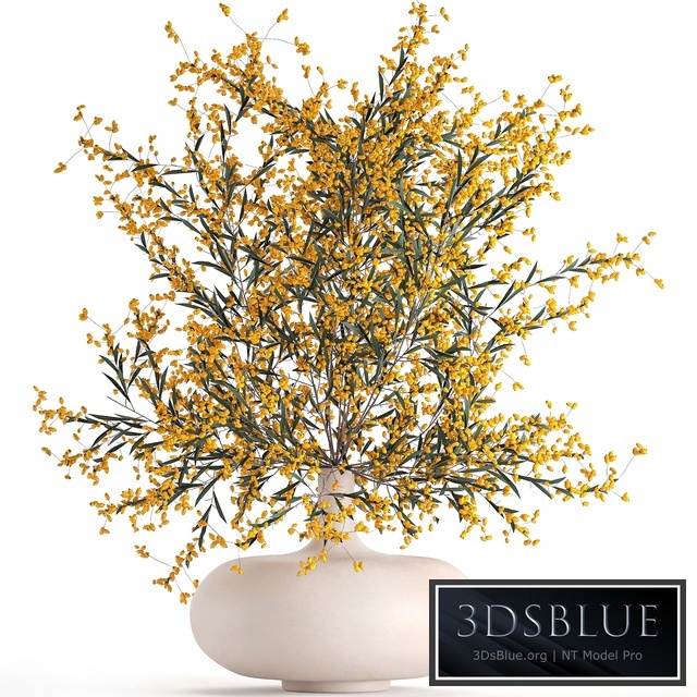 Bouquet 96. Branches, berries. Branches, berries, yellow flowers, vase, natural decor, sea buckthorn