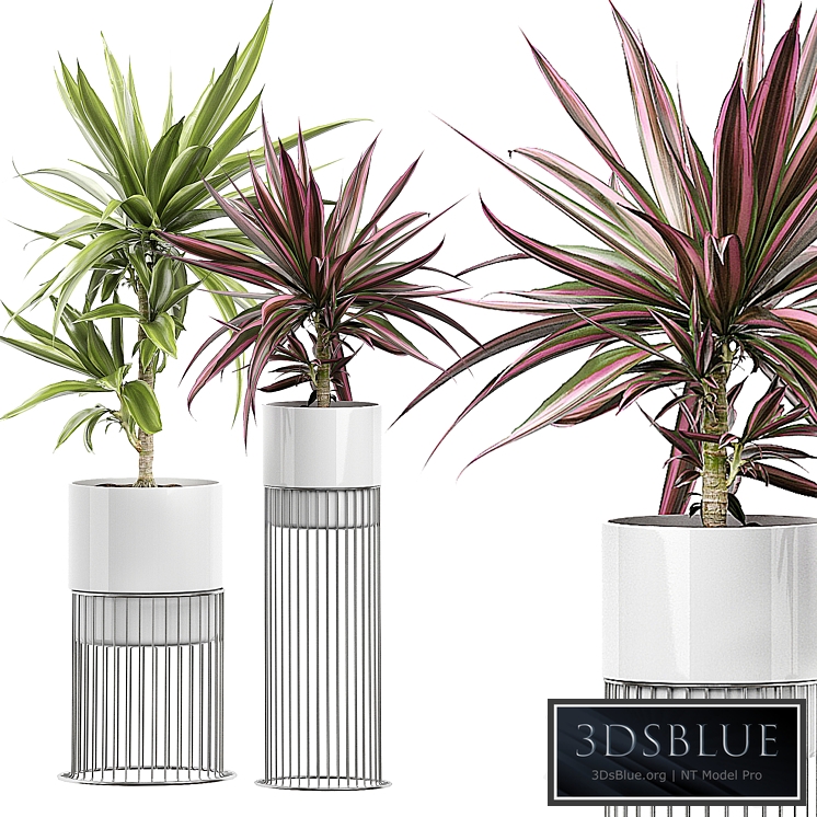 INTERIOR FLOWER PACK 51