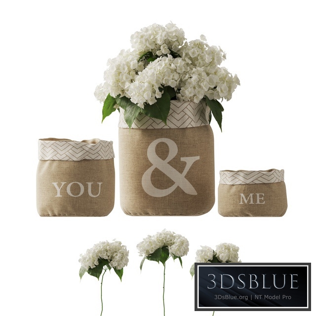 white hydrangea changeable vase