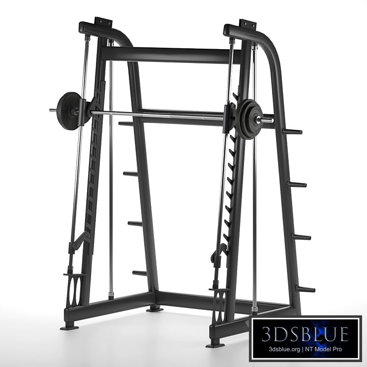 Smith Machine Gym Equipment