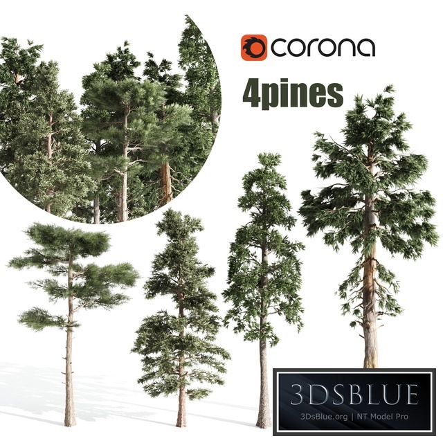 4 pines