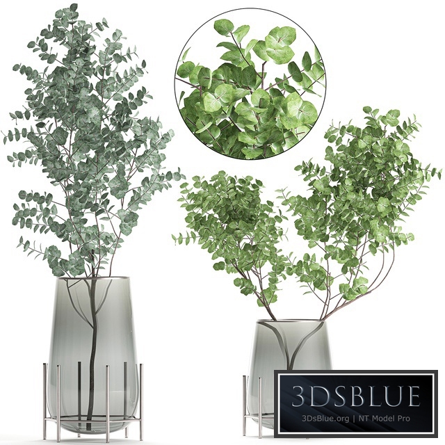 Bouquet 100. Eucalyptus, vase, branches