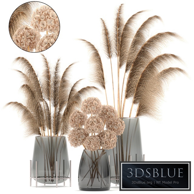 Bouquets set 101. Pampas grass, branches, vase, reeds, dried flowers, dry decor, hydrangea