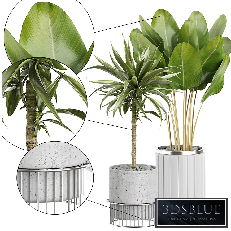 INTERIOR FLOWER PACK 62