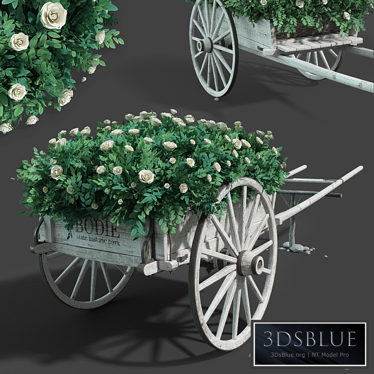 Cart with flowers