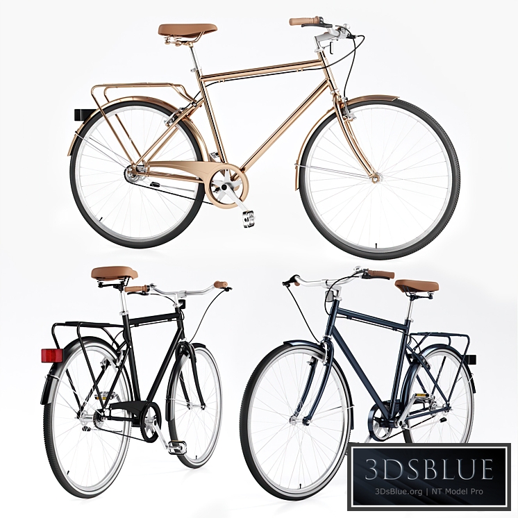 Men's Vintage Bike / Bike Vintage Roadster