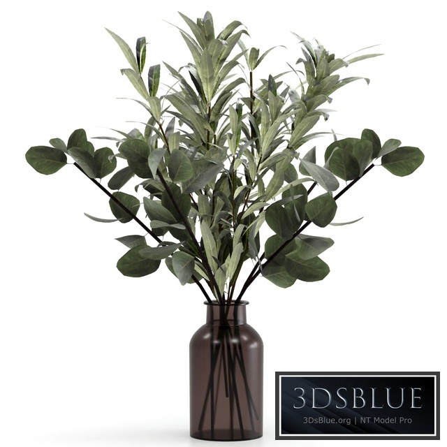 Bouquet of eucalyptus twigs and olives.