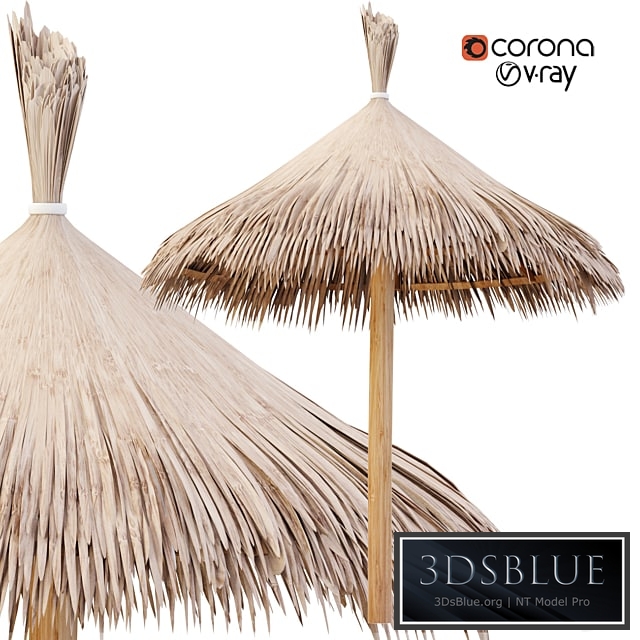 Bamboo Umbrella with Banana Leaf N2