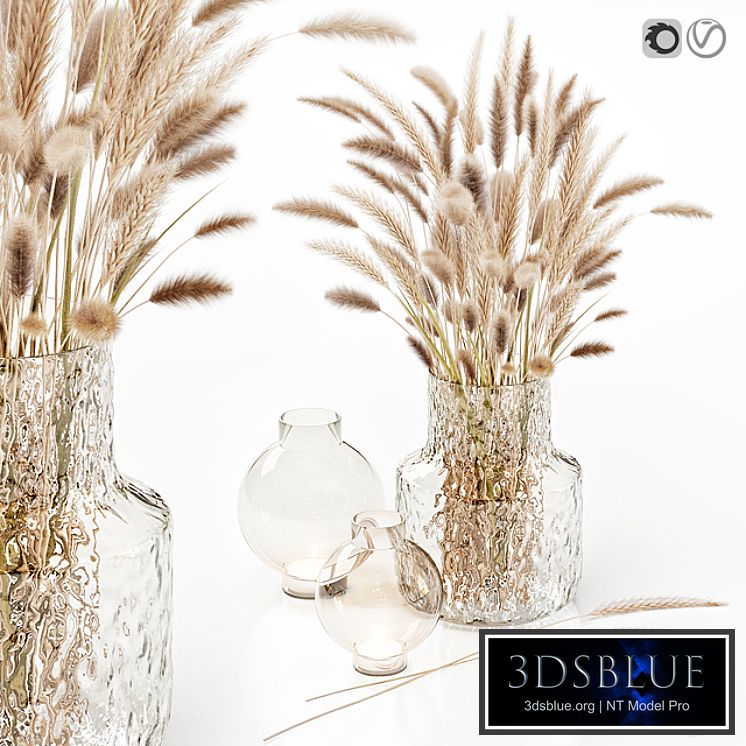 Dry flowers in glass vase