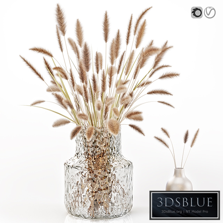 Dry flowers in glass vase 2