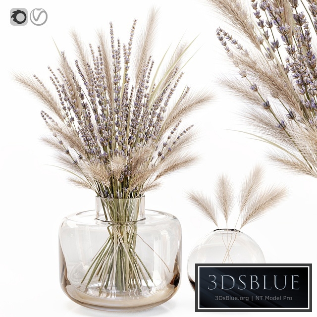 Dry flowers in glass vase with lavender