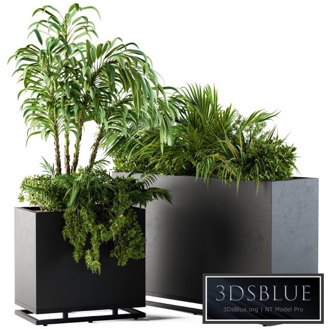 Plant box metal compact04