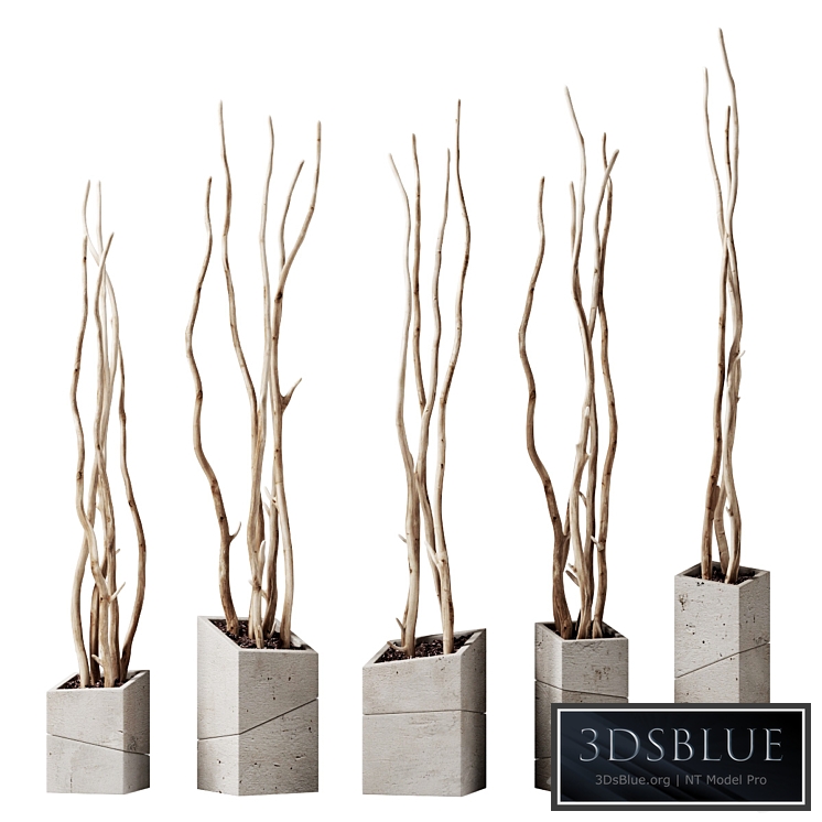 Branch decor vase slice n2 / Branches curves in beveled vases