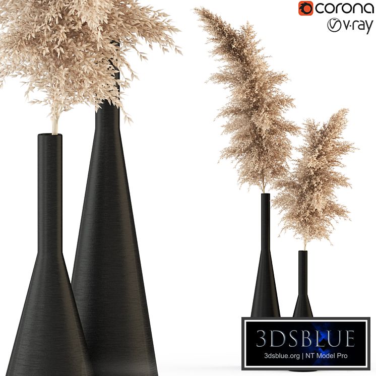 Plants collection 316