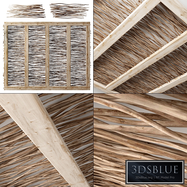 Branch dry old ceiling n1