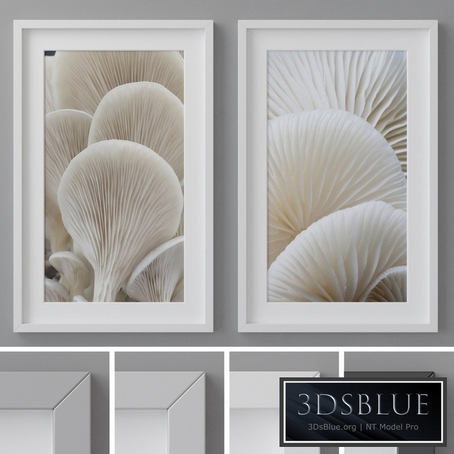 Photo Frames Set 260