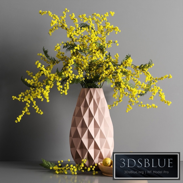 Decorative Mimosa Lemon