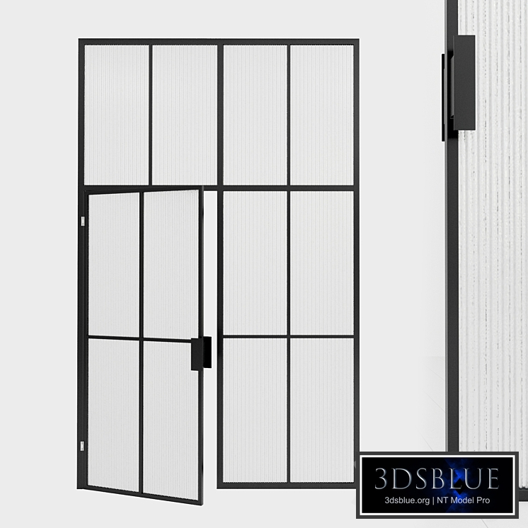 Glass partition. Door. 102