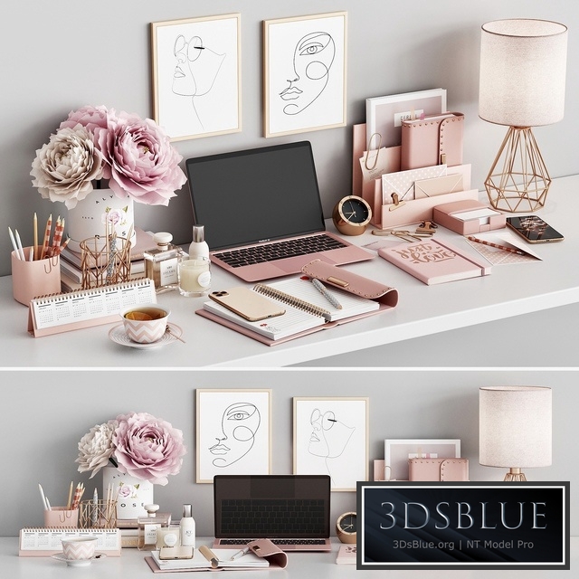 Workplace set WT 02 Rose