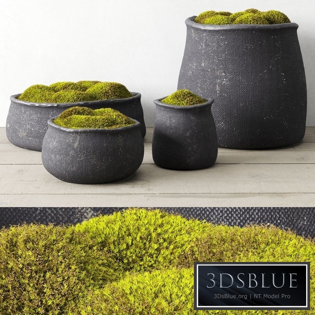 Crosshatch concrete vessel collection with moss
