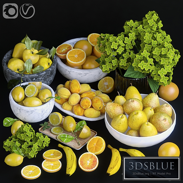 Fruits. Orange / yellow