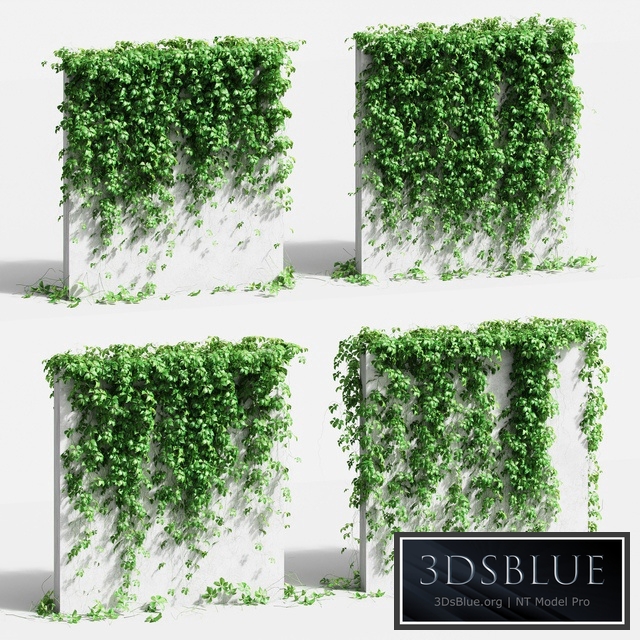 Wall with grape leaves. 4 models