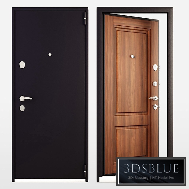 Entrance Door Snegir 55 Mp from Torex
