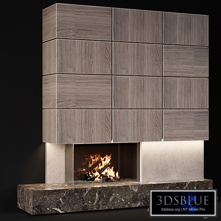 Fireplace modern 45