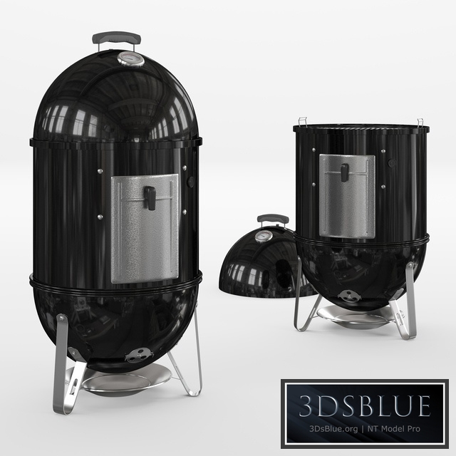 Weber Smokey Mountain Cooker