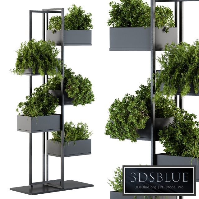 Black Box Plants on stand 03