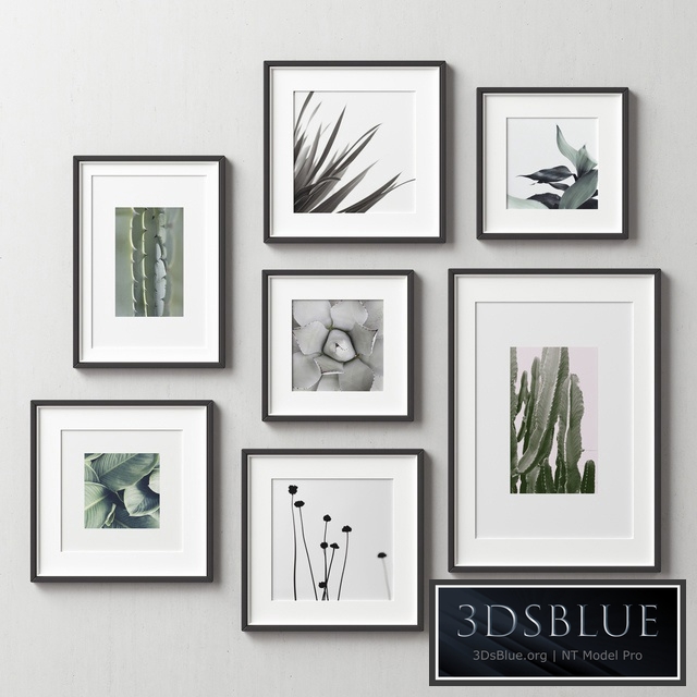 Picture Frames Set -163