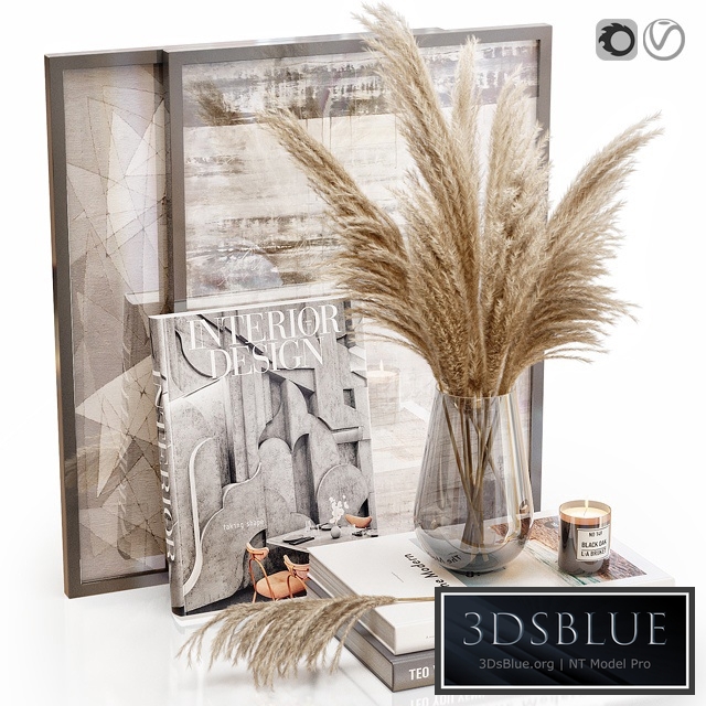Decor set 20 Pampas grass