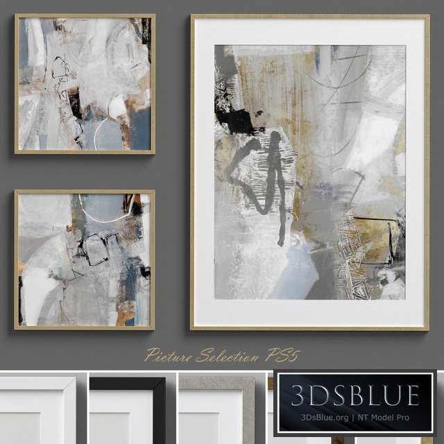 Picture Selection PS5