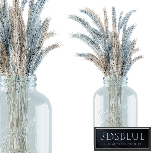 Dry Plants 20 - Blue and Cream Wheat in jam Glass