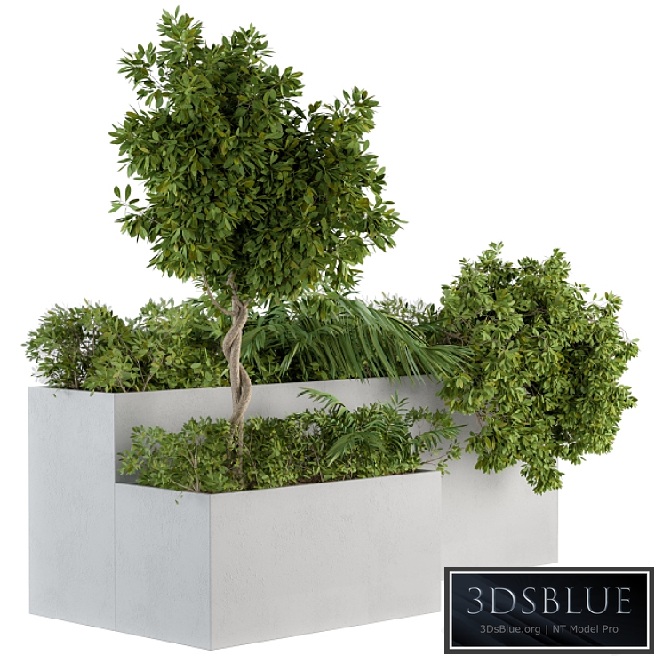 outdoor Plants Concrete Box - Set 45