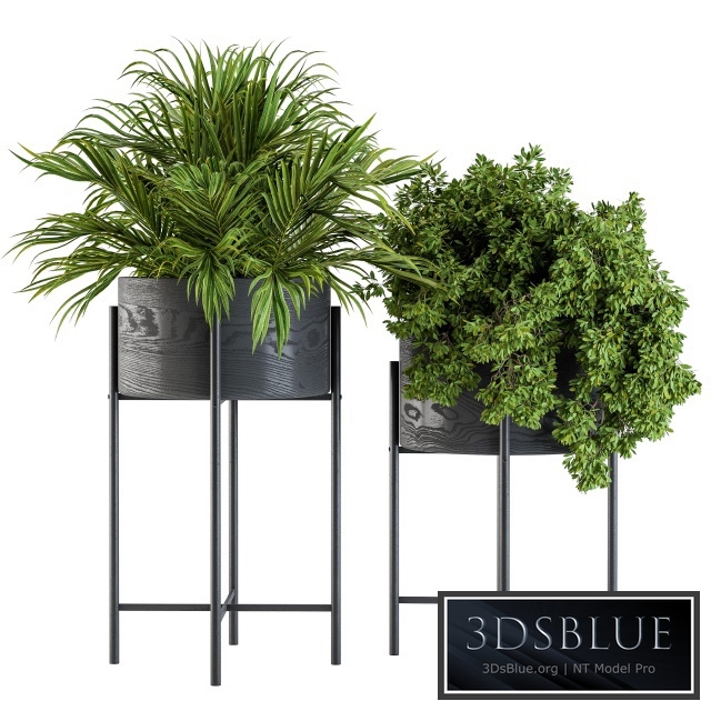 Black round plant box 03